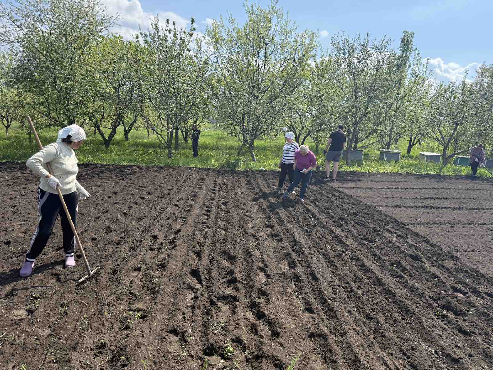 Посадка картоплі та посів овочевих культур