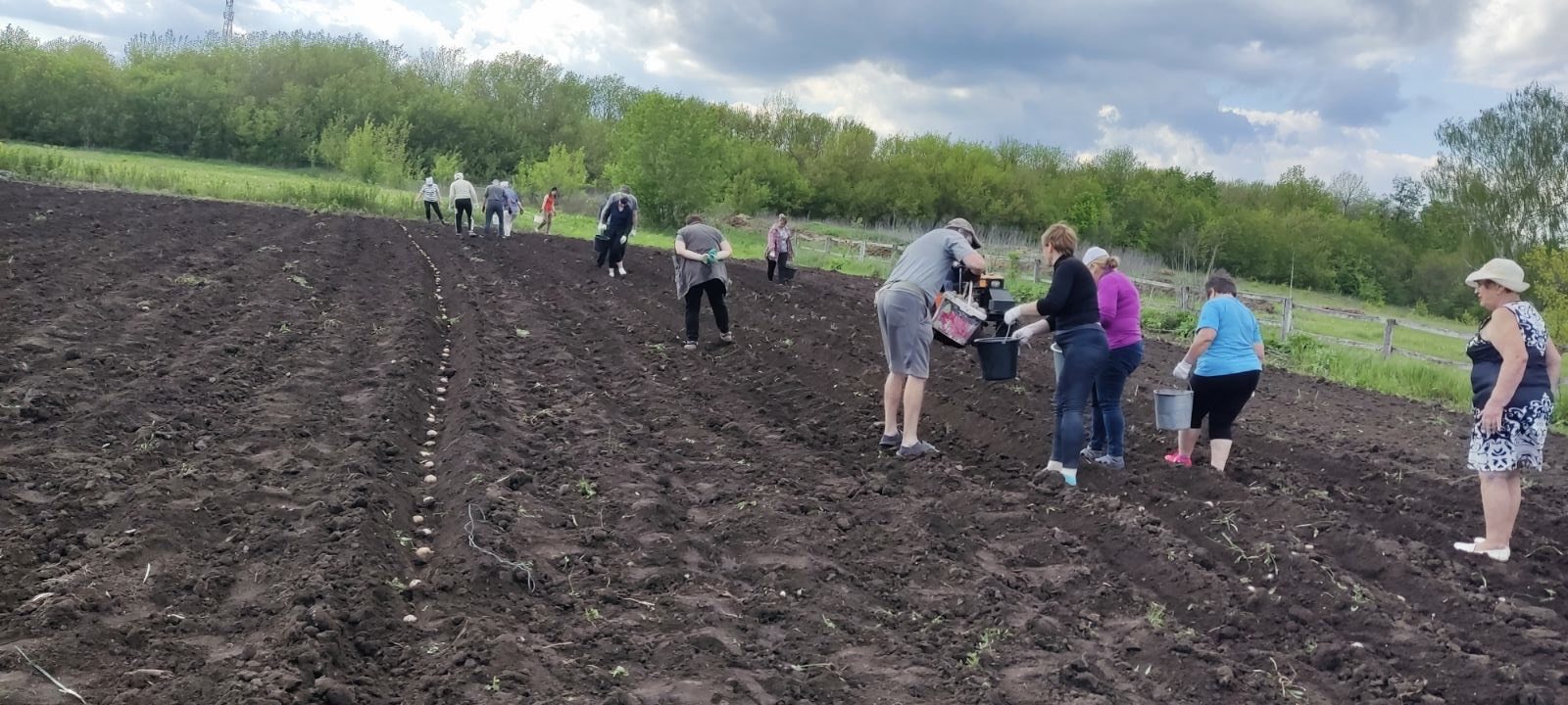 Посадка картоплі та посів овочевих культур