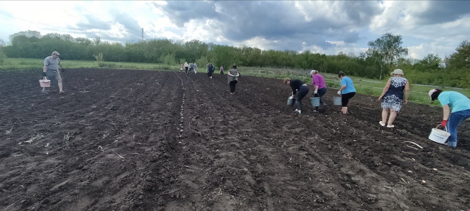 Посадка картоплі та посів овочевих культур