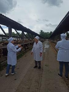  Синергія освіти та бізнесу: розвиваємо ветеринарну медицину разом!