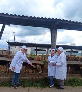 Синергія освіти та бізнесу: розвиваємо ветеринарну медицину