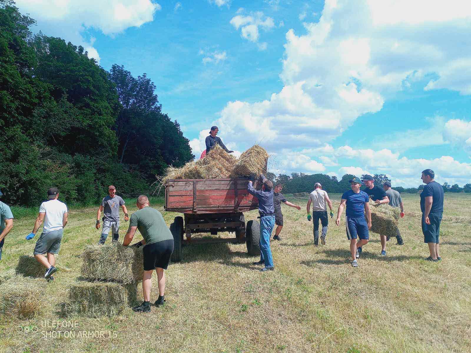  Заготівля сіна у виробничому підрозділі закладу