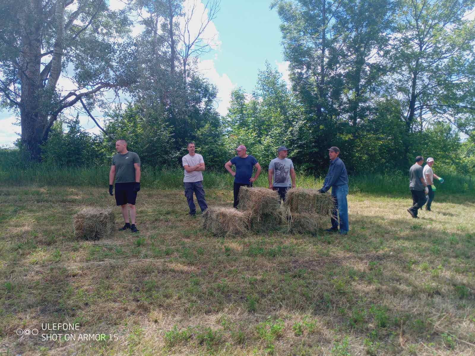 Заготівля сіна у виробничому підрозділі закладу