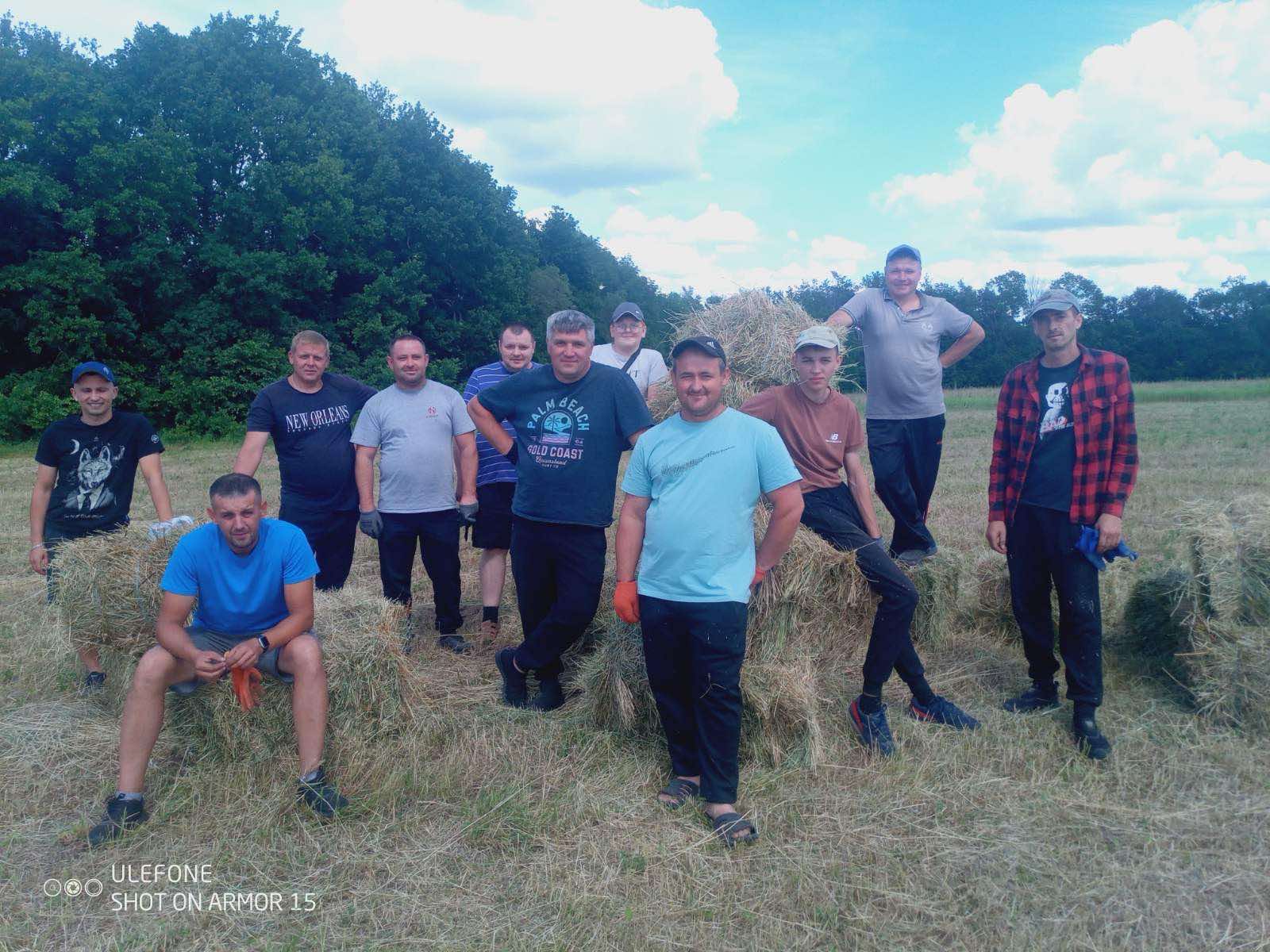 Заготівля сіна у виробничому підрозділі закладу