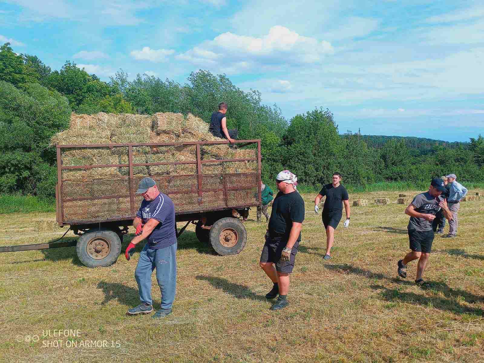 Заготівля сіна у виробничому підрозділі закладу