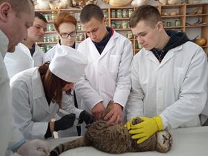Cпеціальність H6 Ветеринарна медицина
