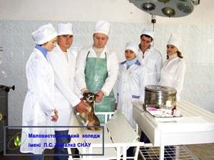 Cпеціальність H6 Ветеринарна медицина